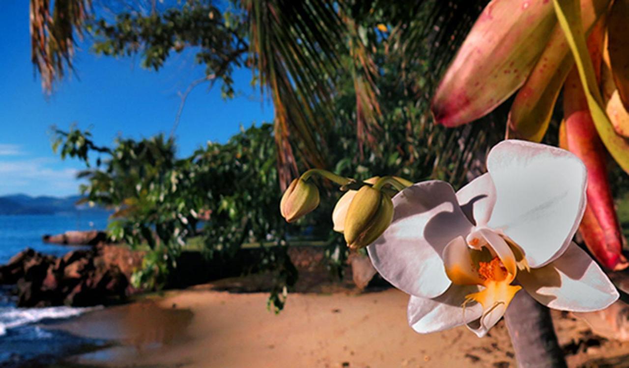 Paraty Marin Araquari Exterior foto